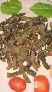 Daun Cincau Hijau Kering Cacah Natural Herbal Alami