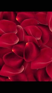 Son dưỡng có màu Ngọc Signature