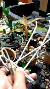 Cantolan Ram Putih 15cm isi 10 pcs Second Tebal Hook Ram Gantungan Aksesoris  Second Ukuran 15cm Tebal 1 ikat 10pcs