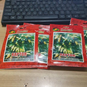 Bibit Benih Cabe Rawit Super Unggul RAPTOR 10gram - Cabe Rawit Pedas BERDOMPOL