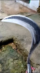 arit atau sabit rumput dan ranting pohon terbuat dari bahan pir pilihan dijamin tajam dan kuat anti rompal dan mleot utk ukuran besar dan lebar sehingga arit ini sangat cocok utk para peternak kambing disamping bisa utk memotong rumput dan ranting