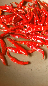 Concise and clear: พริกจินดาเด็ด ก้าน ส่งฟรี ด้านล่าง เรียกว่า ทางตอนใต้ของอินเดีย