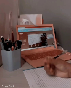 NOTEBOOK GARIS DIARY BUKU TULIS RING SPIRAL COVER AESTHETIC UKURAN A5 & A6