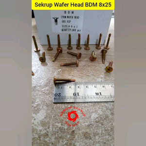 (100 pcs) Sekrup Roofing Wafer Head SDS #8x25 / Skrup Wafer Head 2.5CM