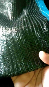 jaring Paranet hdpe 90% UKCASTEM 43x29 57x29 46x27 paranet tanaman siap pakai