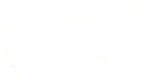 PHYTO FRESH Minyak Herbal Essentials Hilangkan Sakit Kembung Masuk Angin Kepala Pusing Bersing Bersin Tersumbat Dan Capek Capek