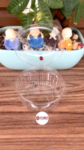 50 cái Hộp đựng bánh cupcake