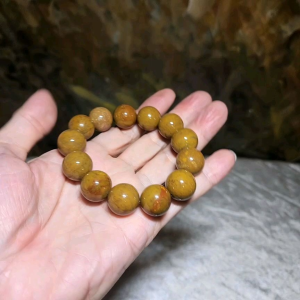 16mm Premium Madagascar Petrified Wood brownish yellowish bracelet [Natural Crystal] 优质马达加斯加木化石褐黄手链