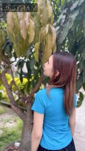 Jestham Hand Body Luxury Ungu Produk Perawatan Kulit Lotion Tangan Dan Tubuh - Lazada