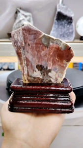 Natural Madagascar High Gred Petrified Wood/Tree Jade Slice Ornament MPT12
