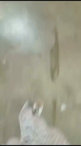 SARUNG BATIK GUS IQDAM VIRAL