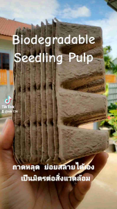 Pots Plants Seedling Tray 12 Holes 100% Biodegradable Paper Compost 10 Tray ถาดปลูกผัก ย่อยสลายเองได้ เป็นมิตรต่อสิ่งแวดล้อม บรรจุภัณฑ์ 10 ถาด ถาดปลูกเมล็ดเริ่มต้น ลังปลูกผัก กล่องปลูกผัด ดอกไม้ เมล็ดพันธุ์พืช (พร้อมส่ง)