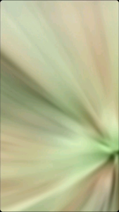 เต็นท์ประกอบ ขนาด2x1.5เมตร เต็นท์สนาม เต็นท์นอน2-3คน ขนาด2x1.5เมตร เต็นท์พักแรม เต็นท์เดินป่า