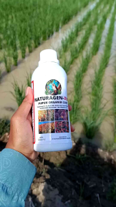 4 Pouch Naturagen Xtra 250 ml: Pupuk Organik Terbaik untuk Tanaman