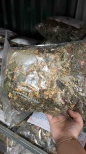 Thảo Dược Giảm Mỡ Máu Gan Nhiễm Mỡ điều hòa Đường Huyết - Đặc Sản 277