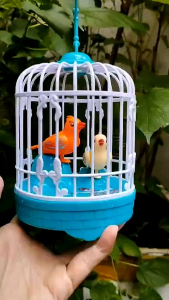 Đồ Chơi Lồng Chim Biết Hót Phát Nhạc Phát Sáng ( Có Tặng Kèm Pin )