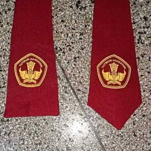 Dasi Sekolah SD Logo Bordir Cewek dan Cowok