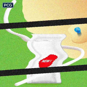 Cat choize pouch 75gr wet food makanan kucing basah