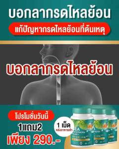 (1แถม 2 = 290 ส่งฟรี)Memymiad Sea Buckthorn กรดไหลย้อน ท้องอืด ท้องเฟ้อ จุกเสียด แน่นท้อง เรอเหม็นเปรี้ยว คลื่นไส้ อาเจียน แผลในกระเพาะอาหาร