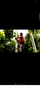 alat panjat pohon pinang Kelapa dll