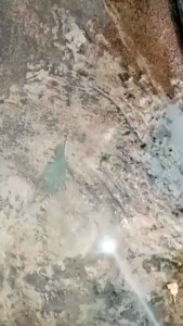 Penggunaan Cat Aspal dalam E-Commerce: Cat Pelapis Anti Bocor & Aspal Cair