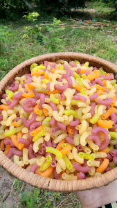 Cimbo 2kg Gồm: 1kg Nui Ống Ngắn Rau Củ + 1Kg Nui Sò Rau Củ - Mai Ngọc Food Sản Phẩm Tốt