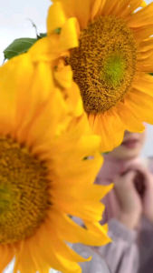 JILBAB SEGI EMPAT N 010 BY NADHEERA LUXURY ✅ SCARFT POLOS VOAL PREMIUM✅