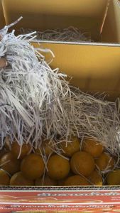 ส้มสายน้ำผึ้ง อ.ฝาง (แบบผิวลาย หวานเข้มข้น)