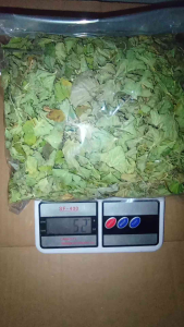 Daun Pegagan Daun Antanan Kering 100 Gram