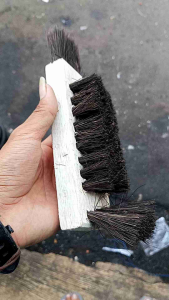 Sikat Injuk pembersih kerak dan lumut