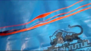 Terpal Tebal A12 Korea: Terpal untuk Berbagai Kebutuhan