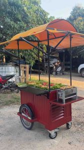 รถเข็นขาย #คีออส ซูมขายรถเข็นขนาด 100 x 60 x 90 กว้าง-สูง พร้อม ผ้าใบ