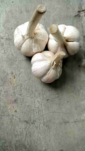 Bawang Putih 500 Gram: Manfaat & Cara Menggunakannya