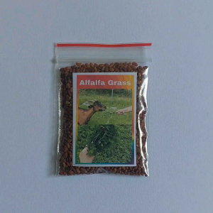 Alfalfa 2500 Seeds Forage Grass Seeds