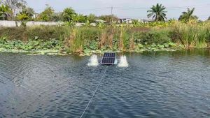 ใบพัดตีน้ำ 6 ชั่วโมง 8 ชั่วโมง ใบตีน้ำที่มีส่วนบ่อกุ้ง ใบตีน้ำมือกองที่มีลดราคา