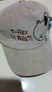 CAE - Topi Bisbol Anak 3-8 tahun Laki Perempuan T-rex Dino 3D Baseball Hat Import
