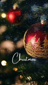 Homemade Traditional Panettone