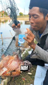 Pelet Pengumpul Ikan Bandul Enjoy Pelet Nila Mas Bawal