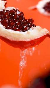 ผลิตภัณฑ์เสริมอาหาร วีวินน์ สูตรเดย์&สูตรไนท์ จำนวน 20 เม็ด ใช้ได้ 10 วัน (แบบ 1 กล่อง)