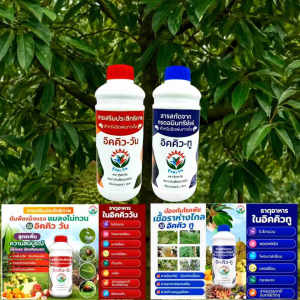ปุ๋ยน้ำป้องกันแมลงอิคคิววัน ปุ๋ยน้ำป้องกันโรคพืช และเชื้อรา อิคคิวทู