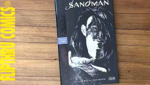 THE SANDMAN GALLERY EDITION: