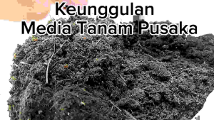 Media Tanam Organik Super Premium 1 kg