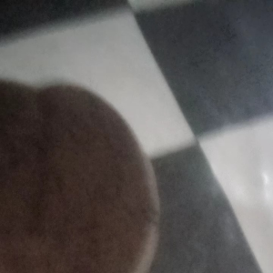 Mangkok Batok Kelapa: Unik, Elegan, Ramah Lingkungan & Alami