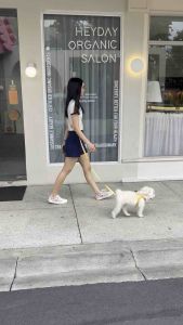 PAWSQUAD Eggy Set (Harness + Handsfree Leash) for Dogs | เซ็ตชุดพร้อมสายจูง สุนัข แมว