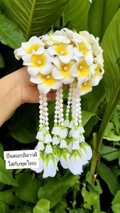 ปิ่นผมดอกลีลาวดี รัดเกล้าผม รัดผมดอกไม้ ฟ้อนรำ เต้นรำ ใส่ได้ทั้งเด็ก และผู้ใหญ่