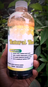 Natural madu murni asli 100% madu hutan nektar akasia herbal original