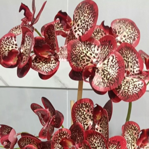 3D Artificial Orchid Latex 9Head /Bunga orkid latek hiasan