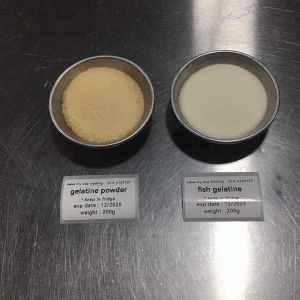 Halal Fish Gelatin Powder 50g 250g鱼胶粉/吉利丁粉 / ikan gelatine Jelly Pudding Powder Panacota