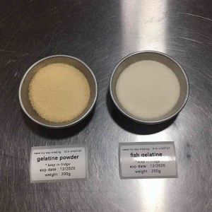 Halal Gelatine Powder 50g 250g明胶粉 鱼胶粉 吉利丁粉 Serbuk Gelatin Bovine Gelatine 牛骨提取 200 bloom Gelatine Jelly Pudding Powder Panacota