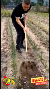 Cangkul Garuk Praktis Serba Guna